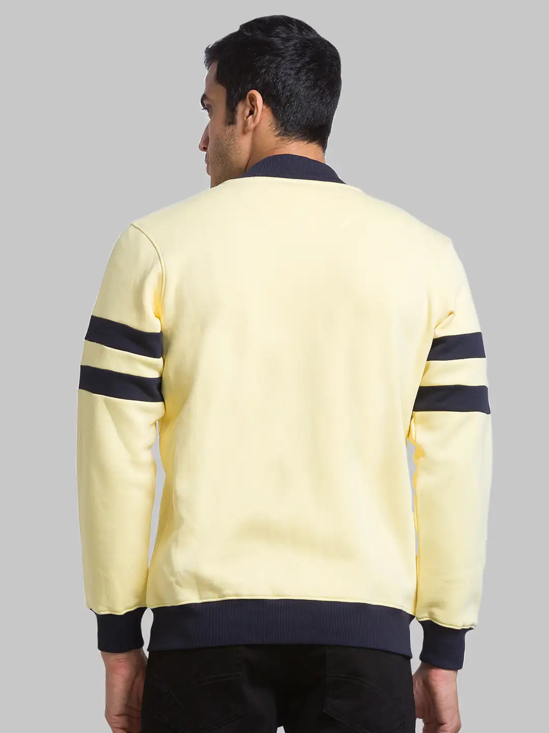 Men Regular Fit Violet Suit