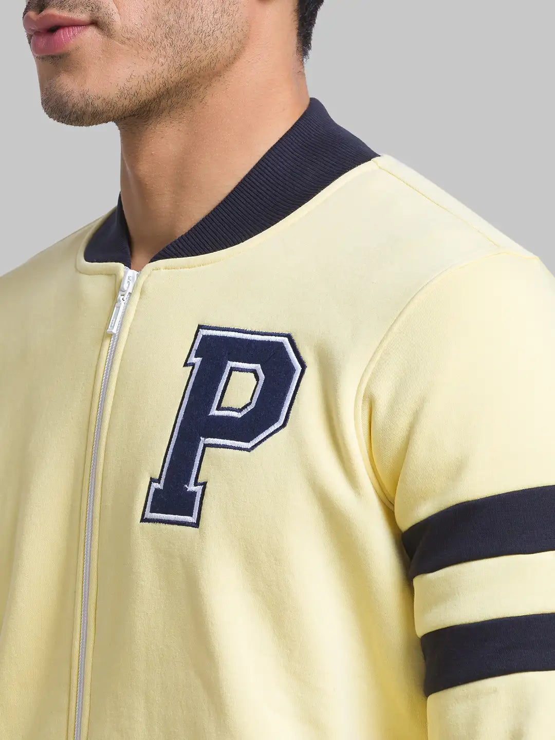 Men Regular Fit Violet Suit