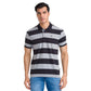 Men Regular Fit Blue Polo