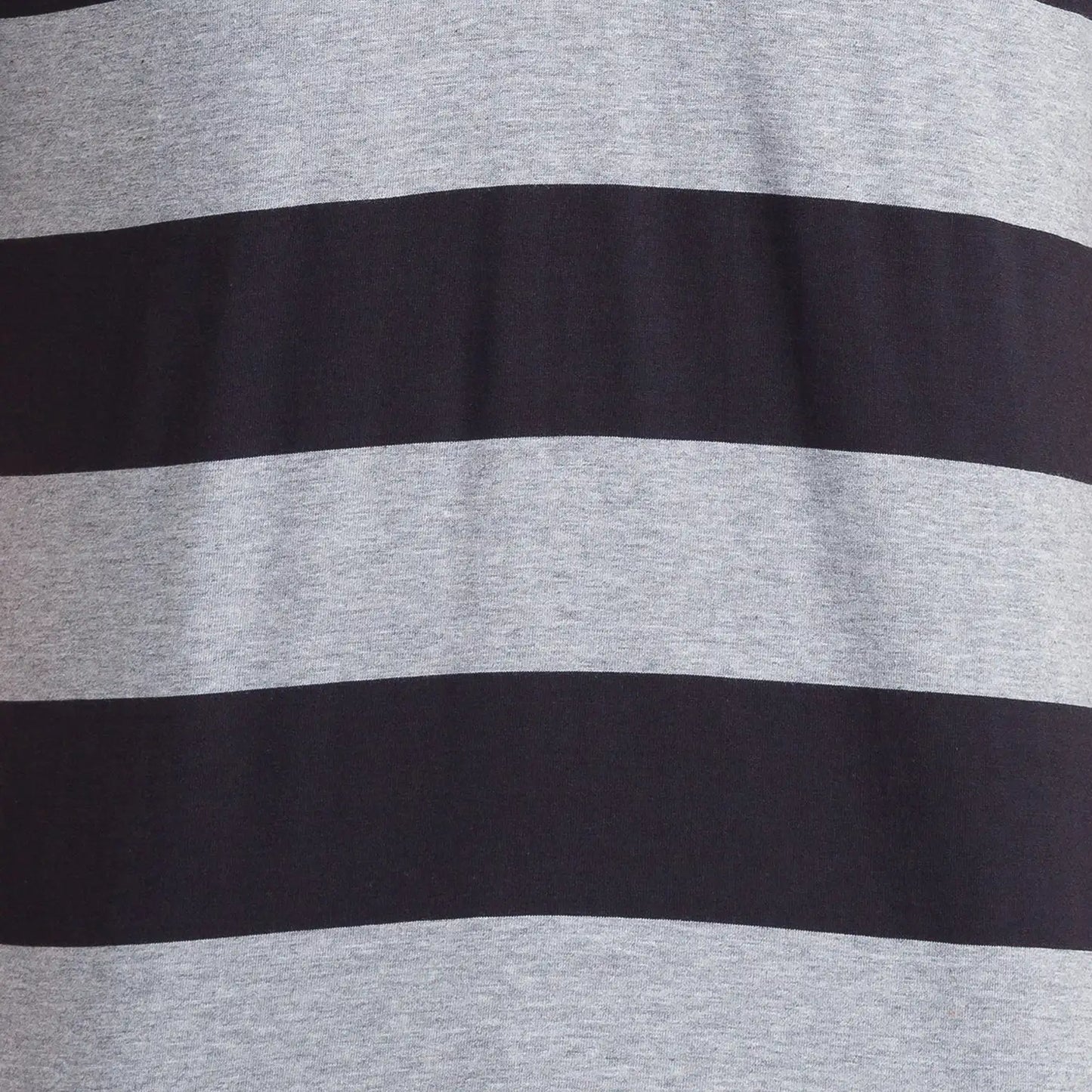 Men Regular Fit Blue Polo