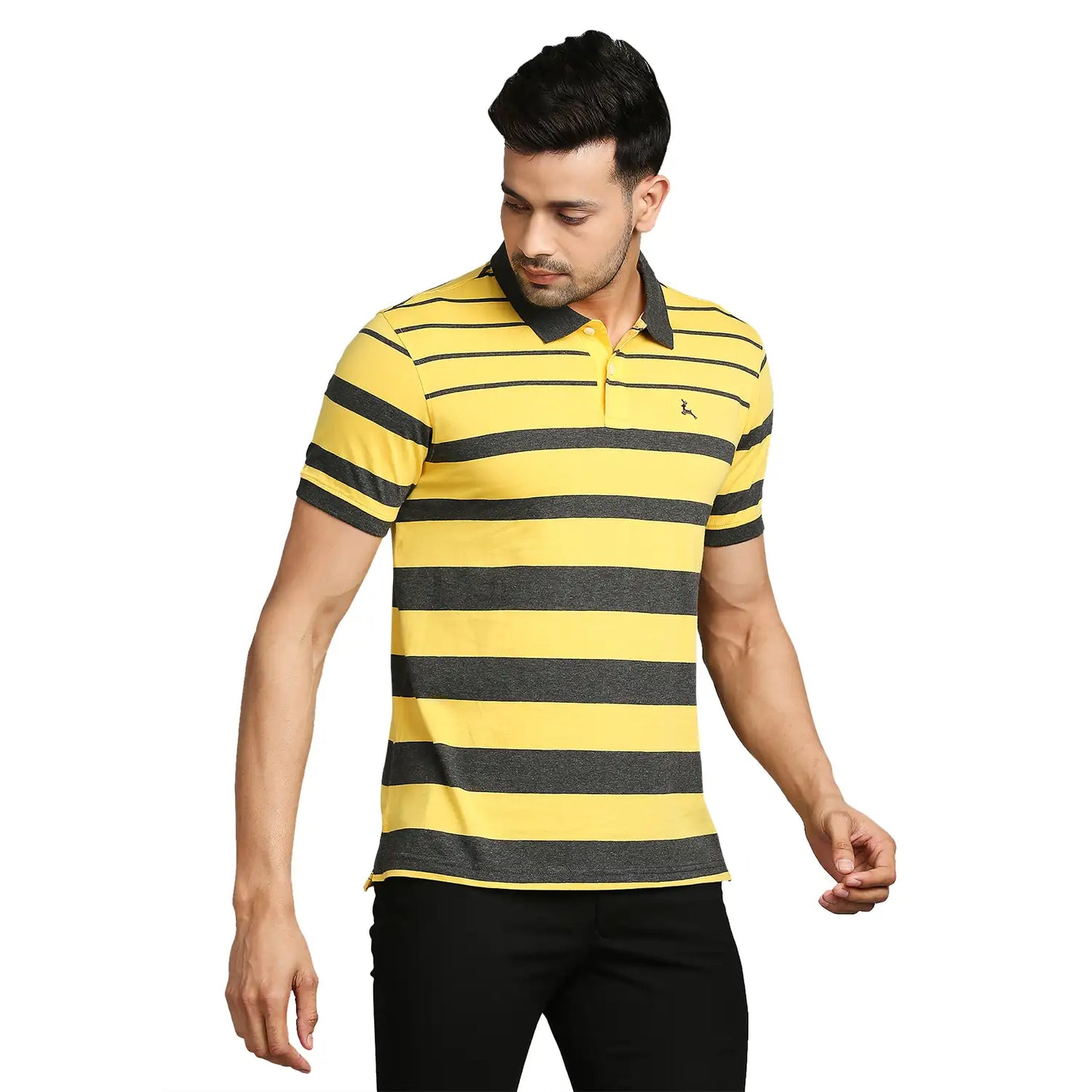 Men Regular Fit Black Polo