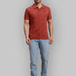 Men Regular Fit Black T-Shirt