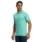 Men Regular Fit Black Polo