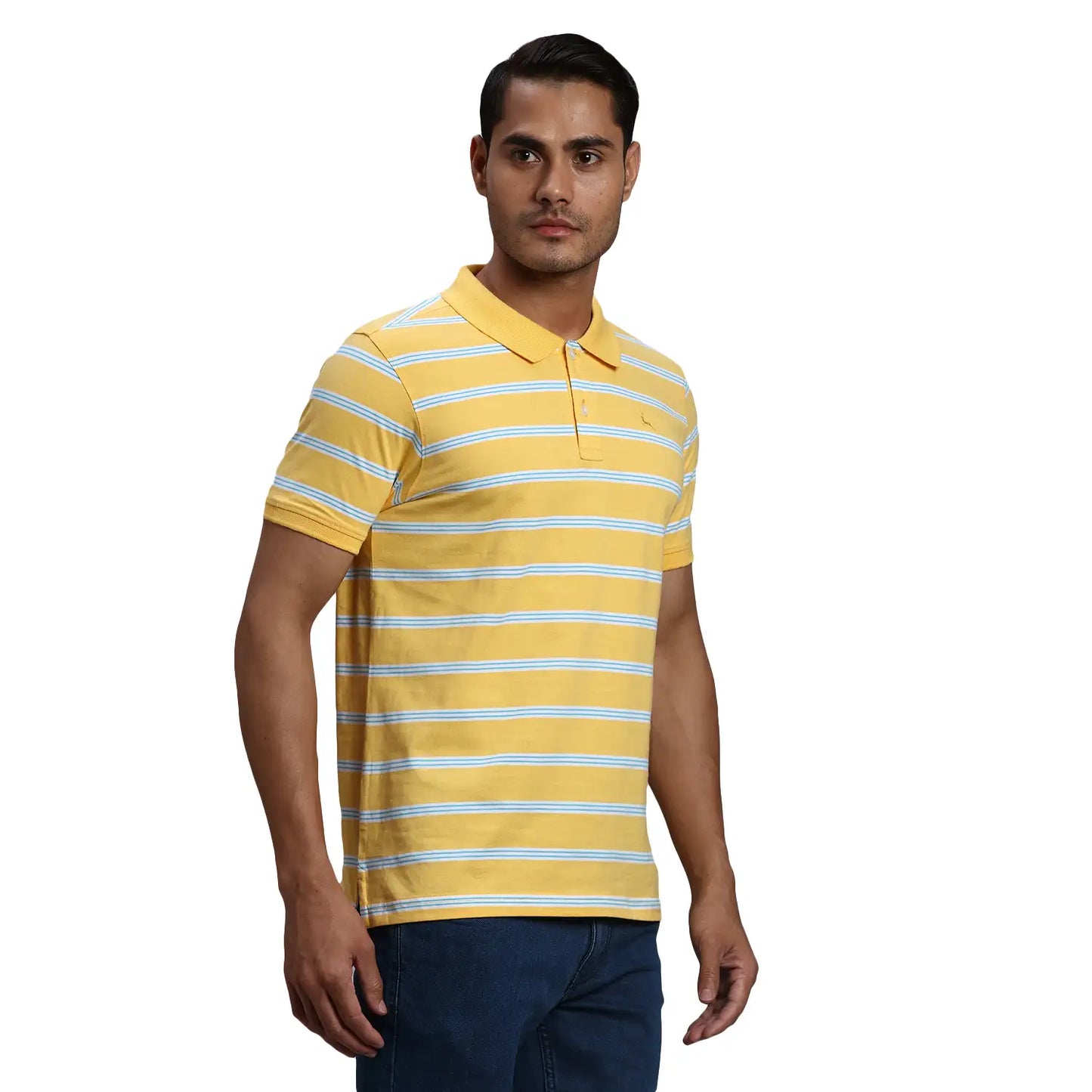 Men Regular Fit Yellow Polo