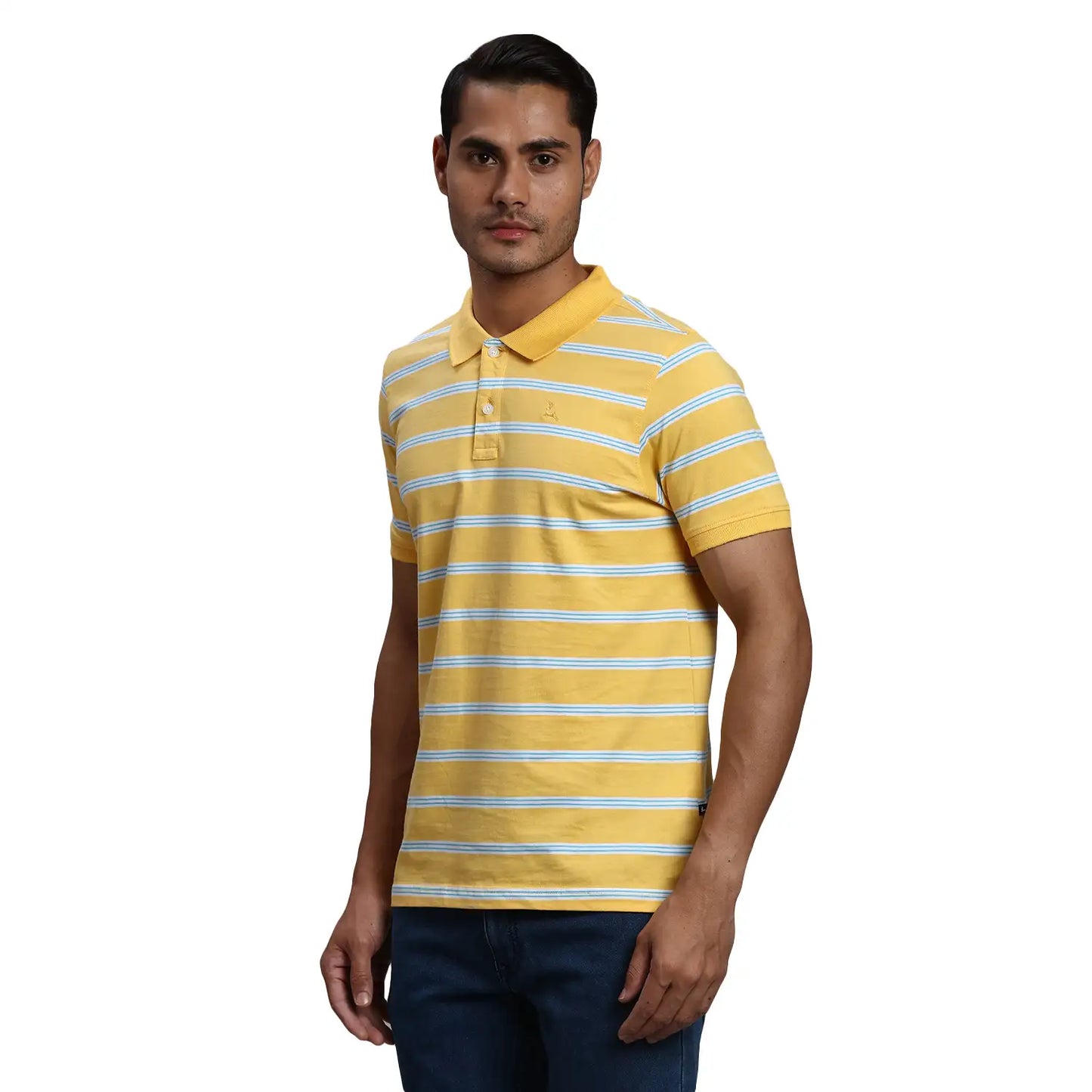 Men Regular Fit Yellow Polo