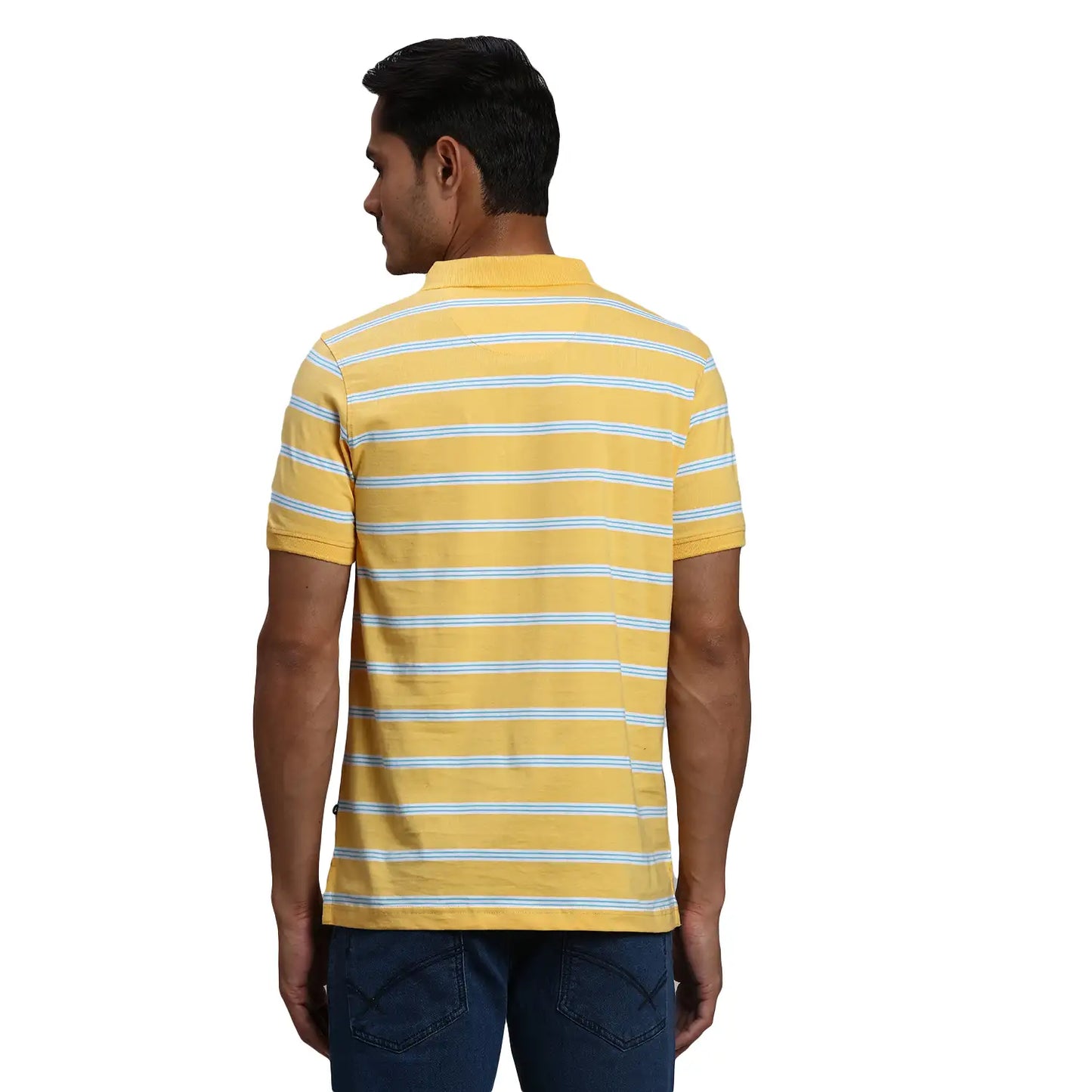 Men Regular Fit Yellow Polo
