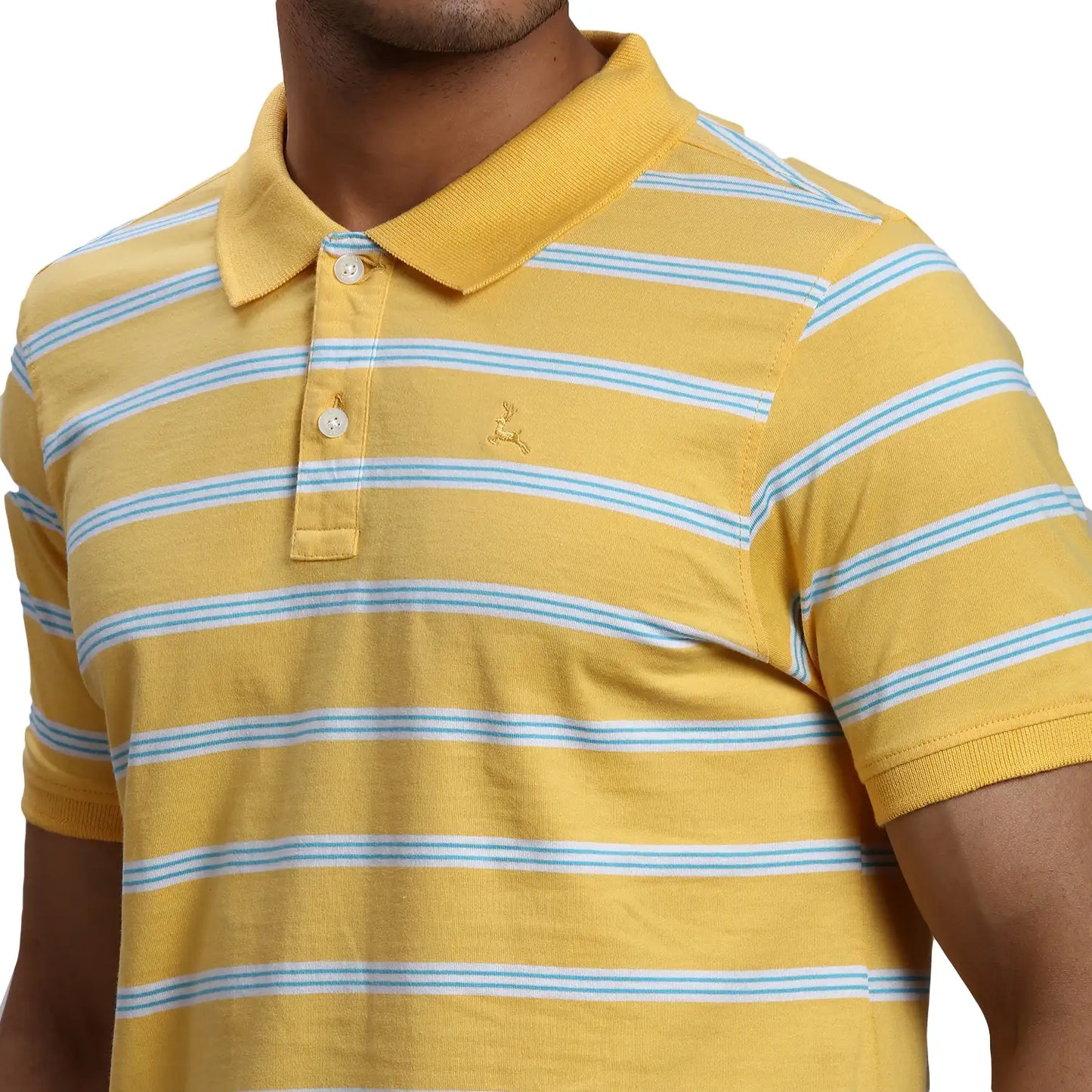 Men Regular Fit Yellow Polo