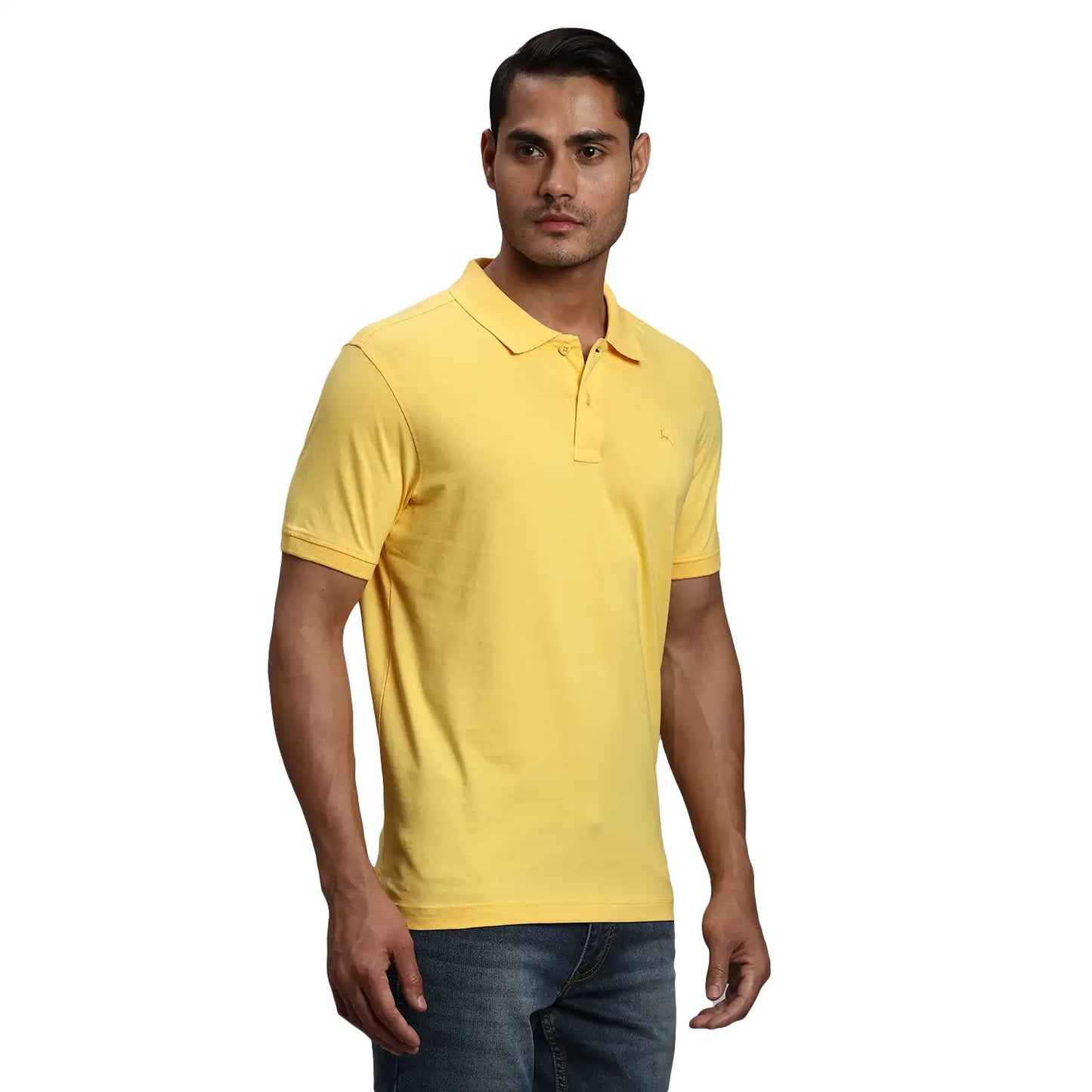 Men Regular Fit Orange Polo