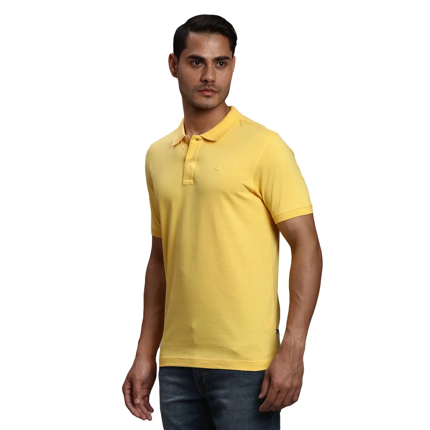 Men Regular Fit Orange Polo