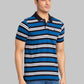 Men Regular Fit Maroon Polo