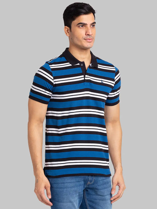 Men Regular Fit Maroon Polo