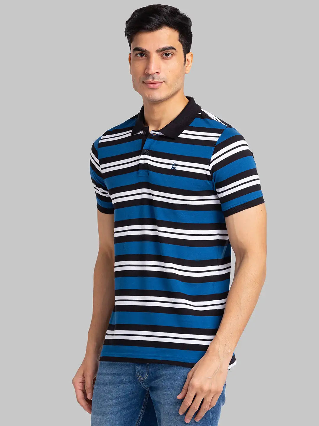 Men Regular Fit Maroon Polo