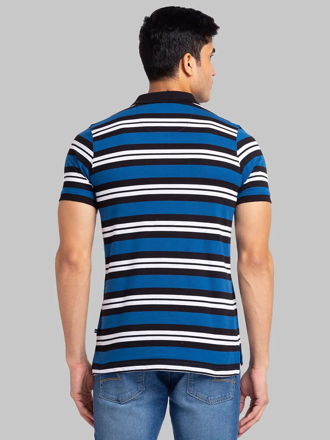 Men Regular Fit Maroon Polo