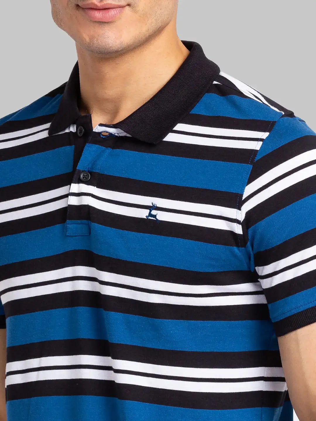Men Regular Fit Maroon Polo