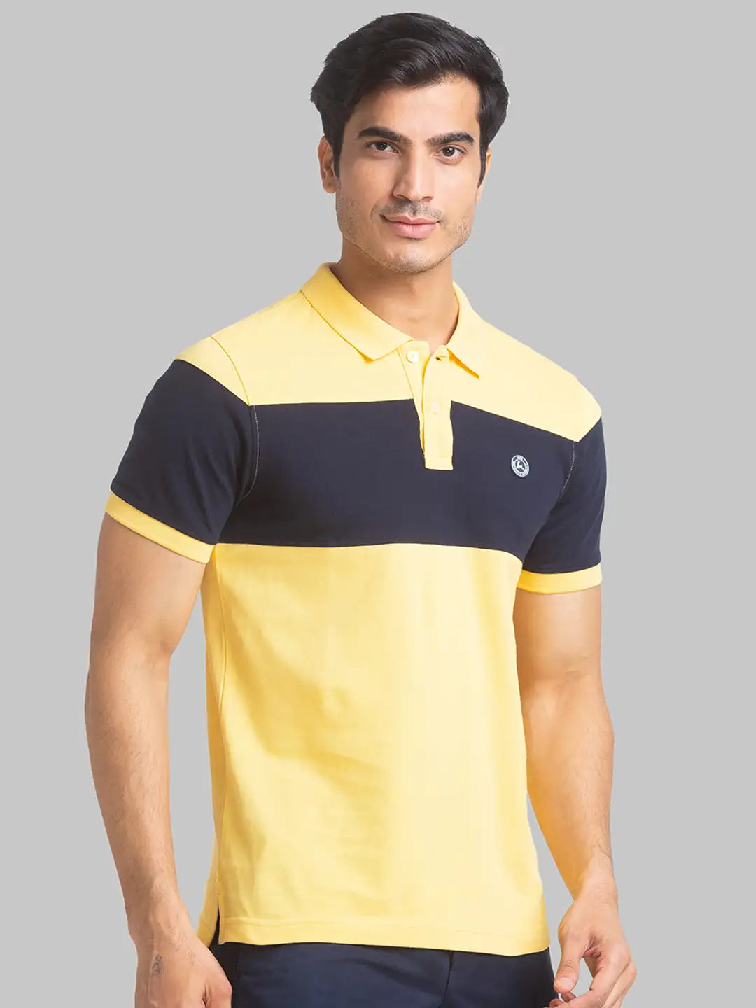 Parx Men Blue Yarn Dyed Regular Fit Cotton Polo Neck T-Shirt