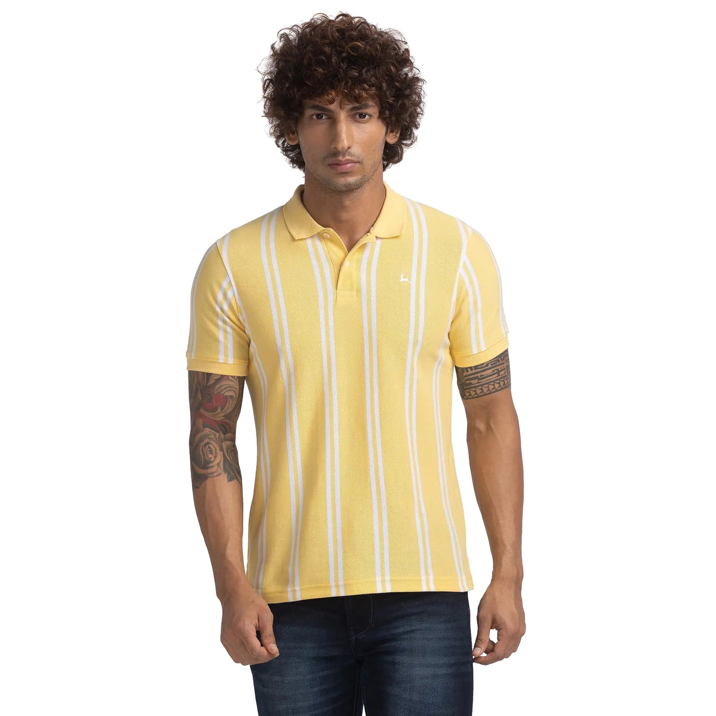 Men Regular Fit Green Polo