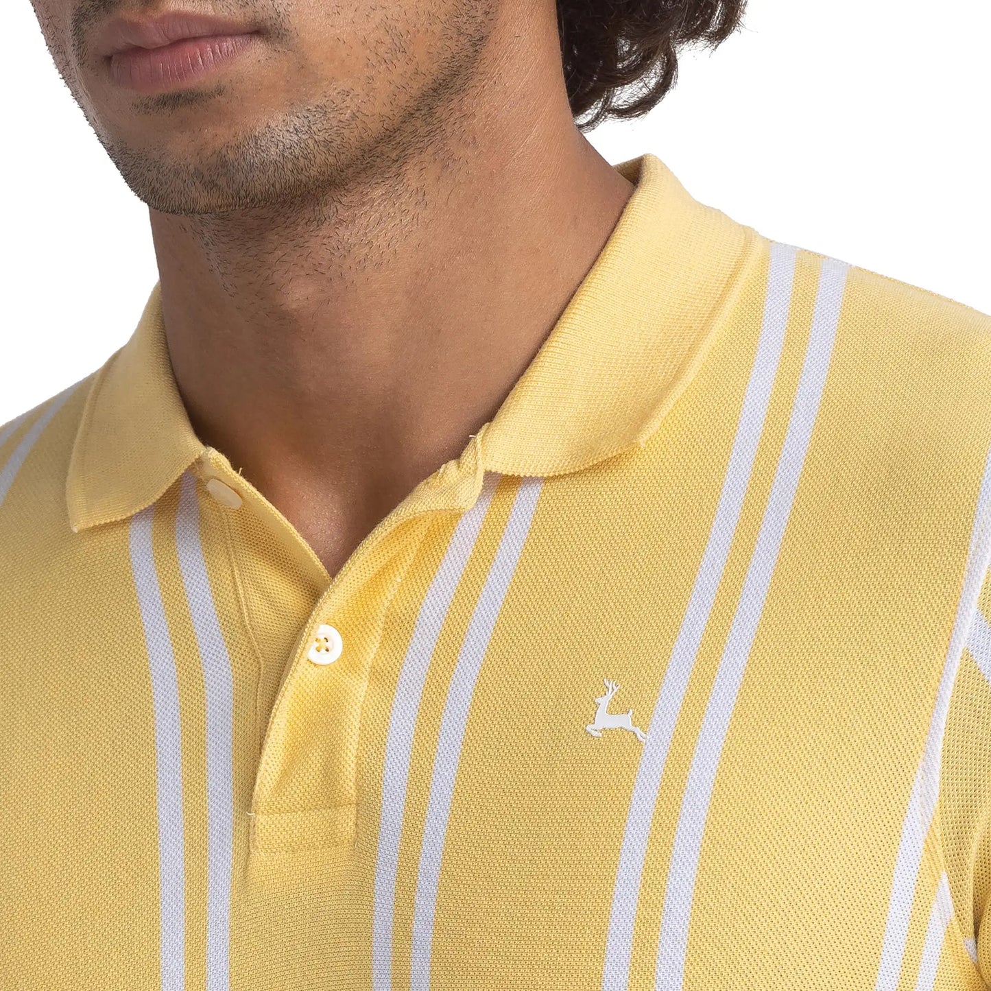 Men Regular Fit Green Polo