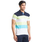 Men Regular Fit Yellow Polo