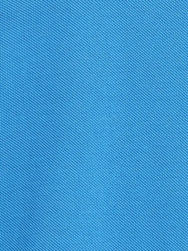 Men Regular Fit Blue Polo