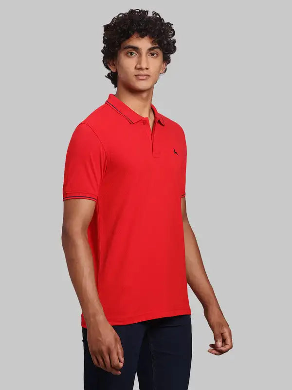 Men Regular Fit Green Polo