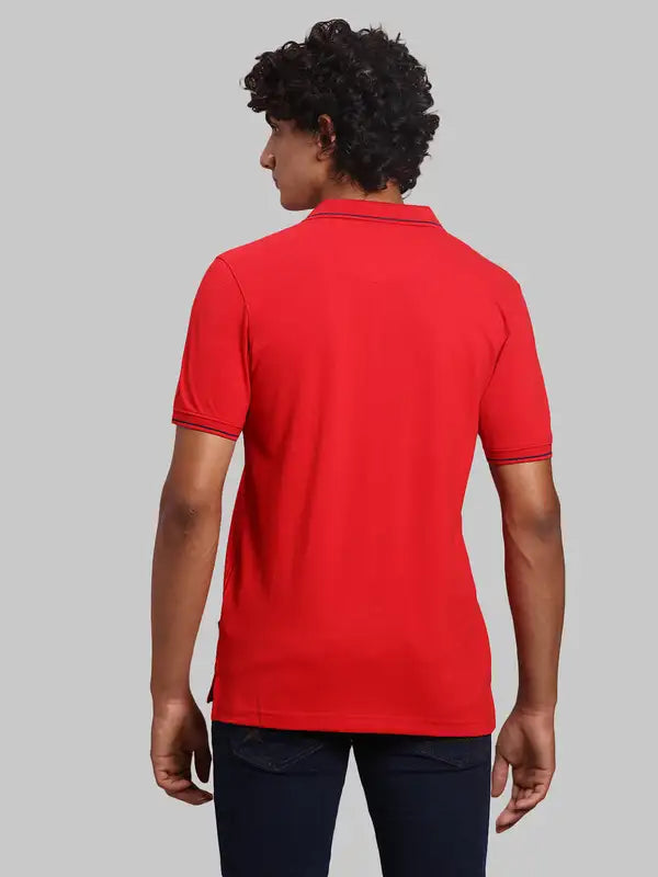 Men Regular Fit Green Polo