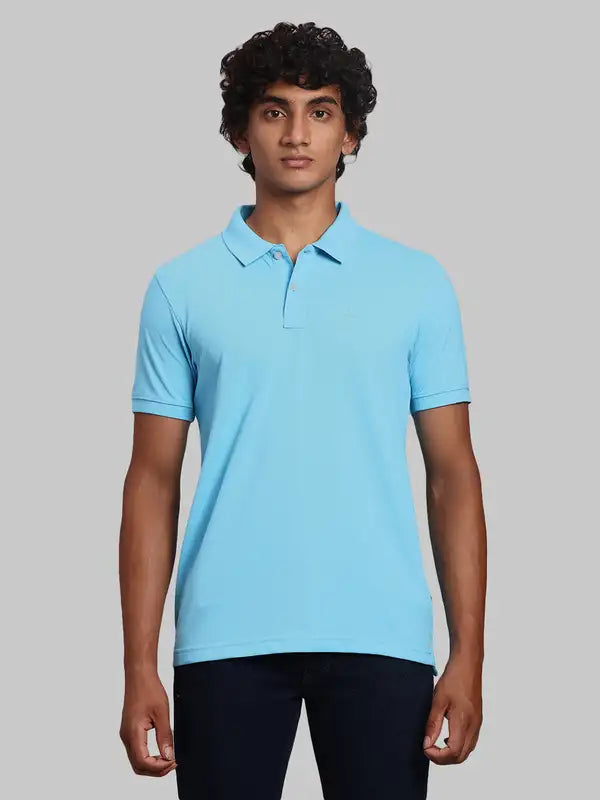 Men Regular Fit Green Polo