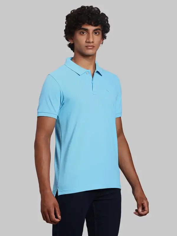 Men Regular Fit Green Polo