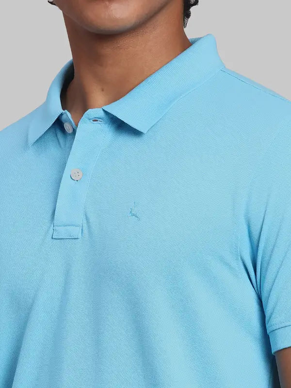 Men Regular Fit Green Polo