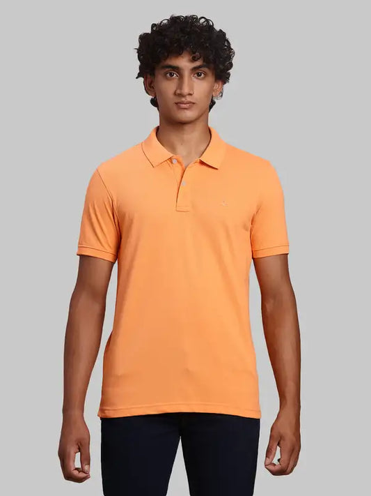 Men Regular Fit Maroon Polo