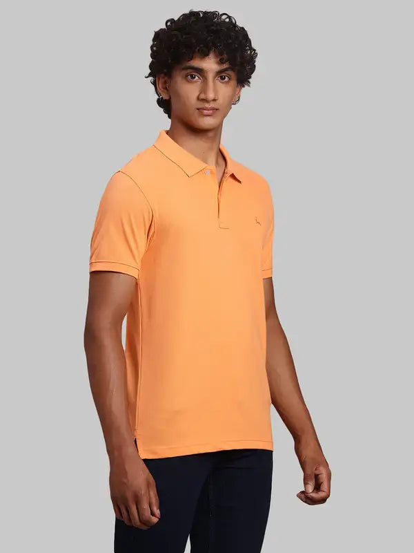 Men Regular Fit Maroon Polo