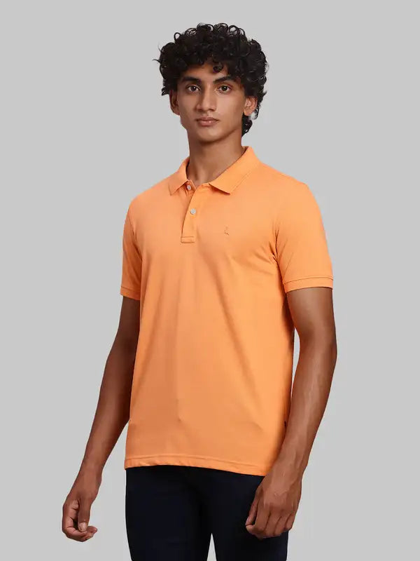 Men Regular Fit Maroon Polo