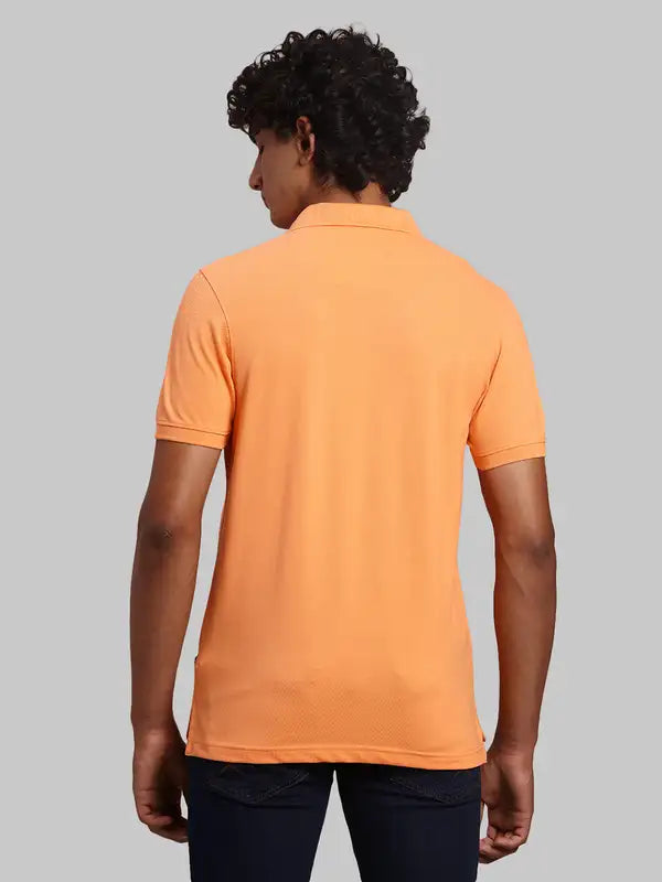 Men Regular Fit Maroon Polo