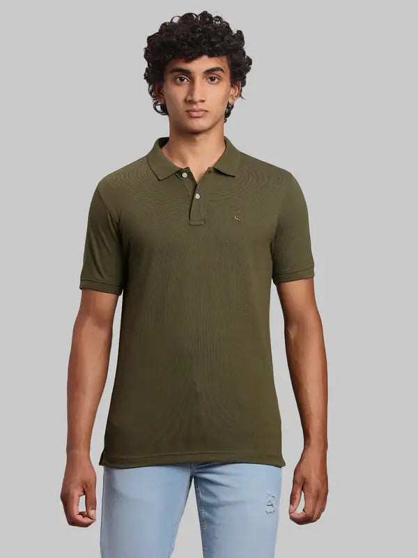 Men Regular Fit Green Polo