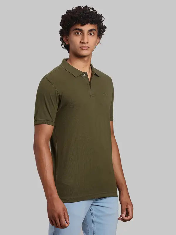 Men Regular Fit Green Polo