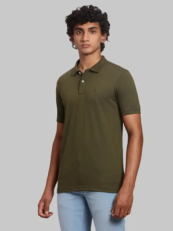 Men Regular Fit Green Polo