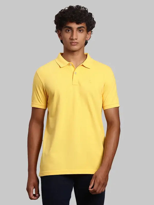 Men Regular Fit Green Polo