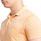 Men Slim Fit Green Chinos
