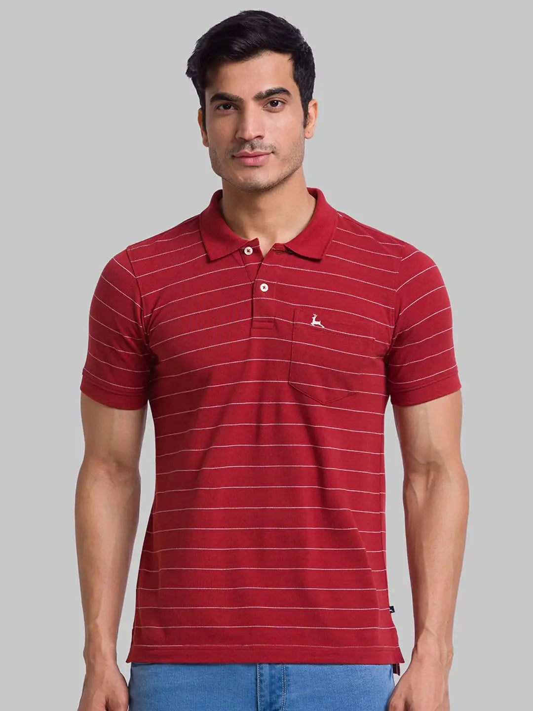 Men Regular Fit Green Polo