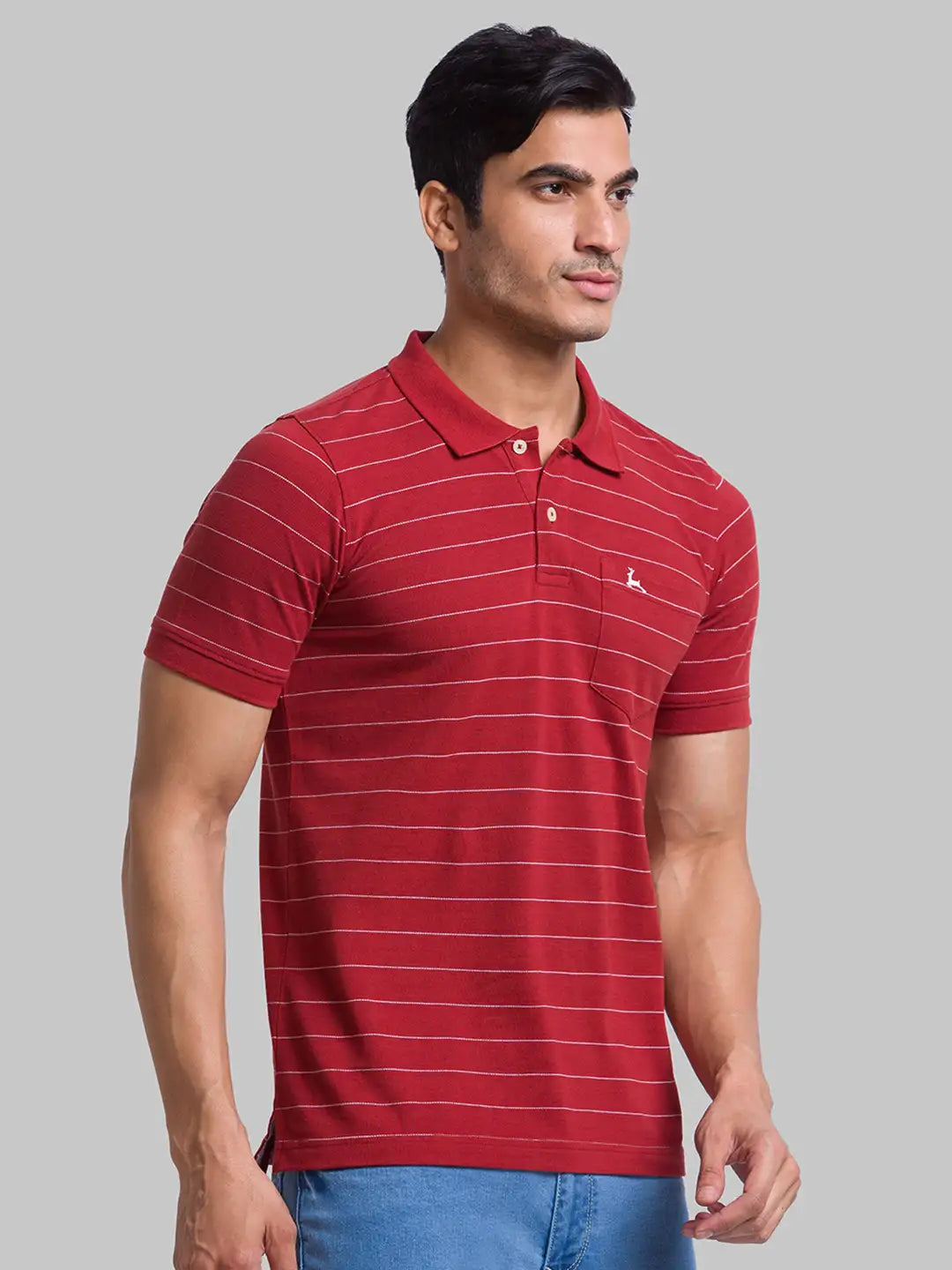 Men Regular Fit Green Polo
