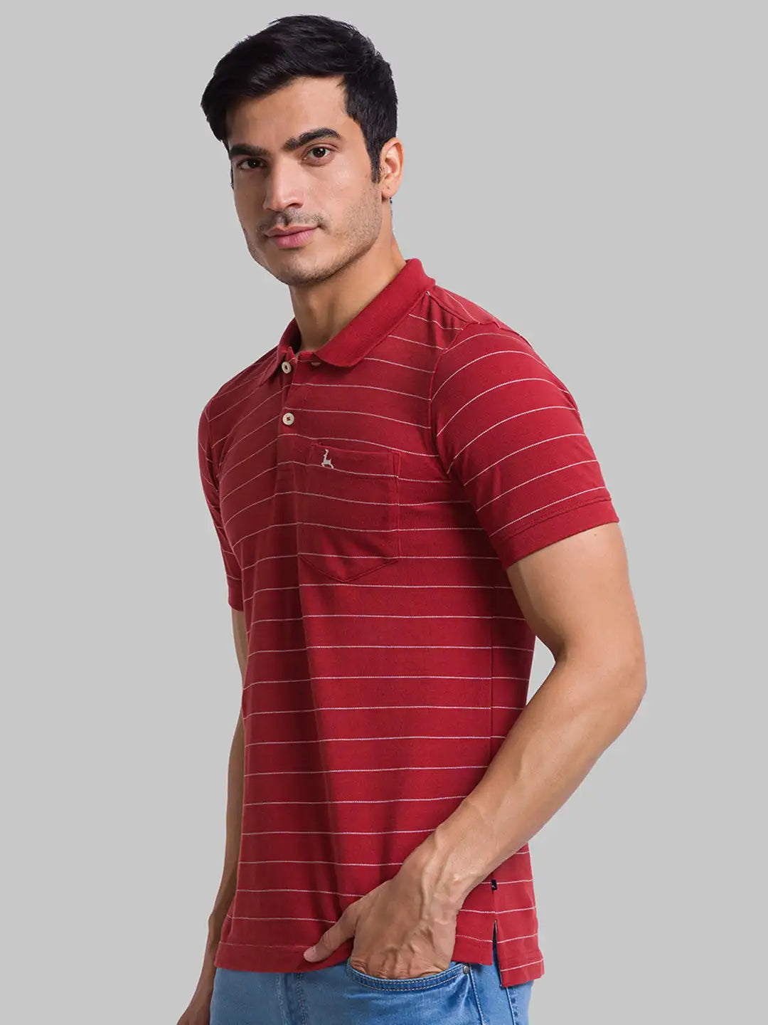 Men Regular Fit Green Polo