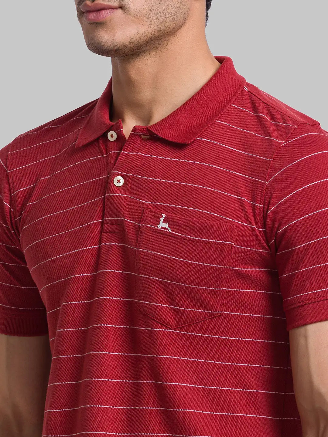 Men Regular Fit Green Polo