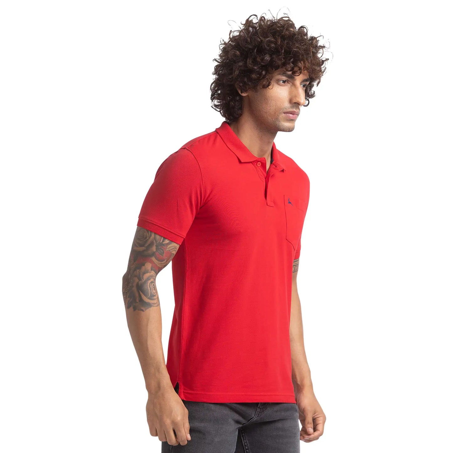 Men Regular Fit Green Polo