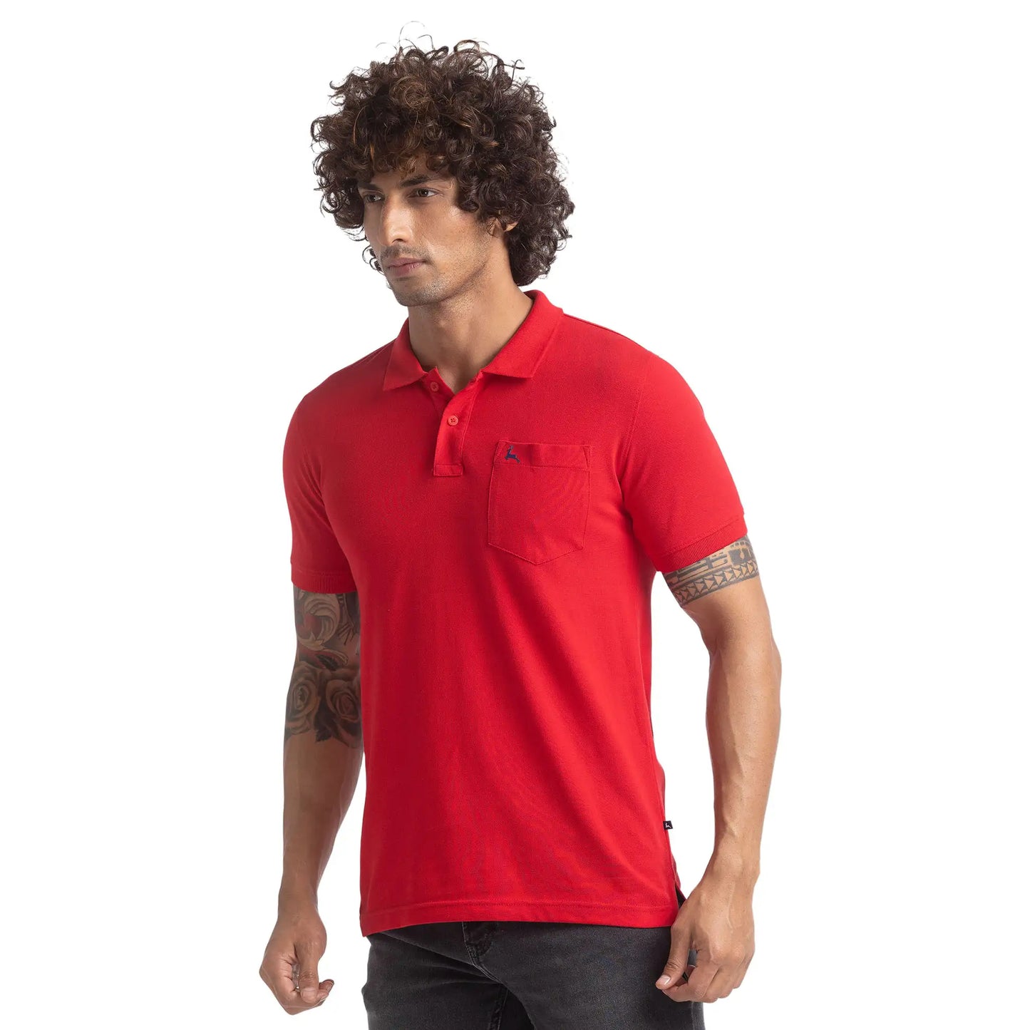 Men Regular Fit Green Polo