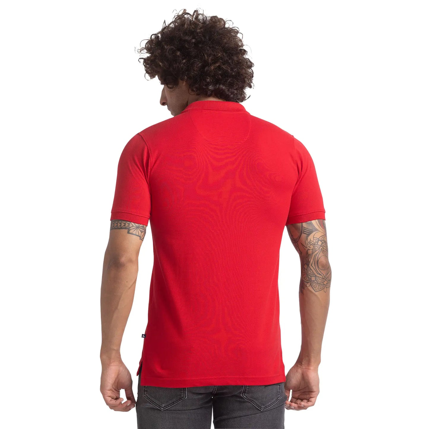 Men Regular Fit Green Polo
