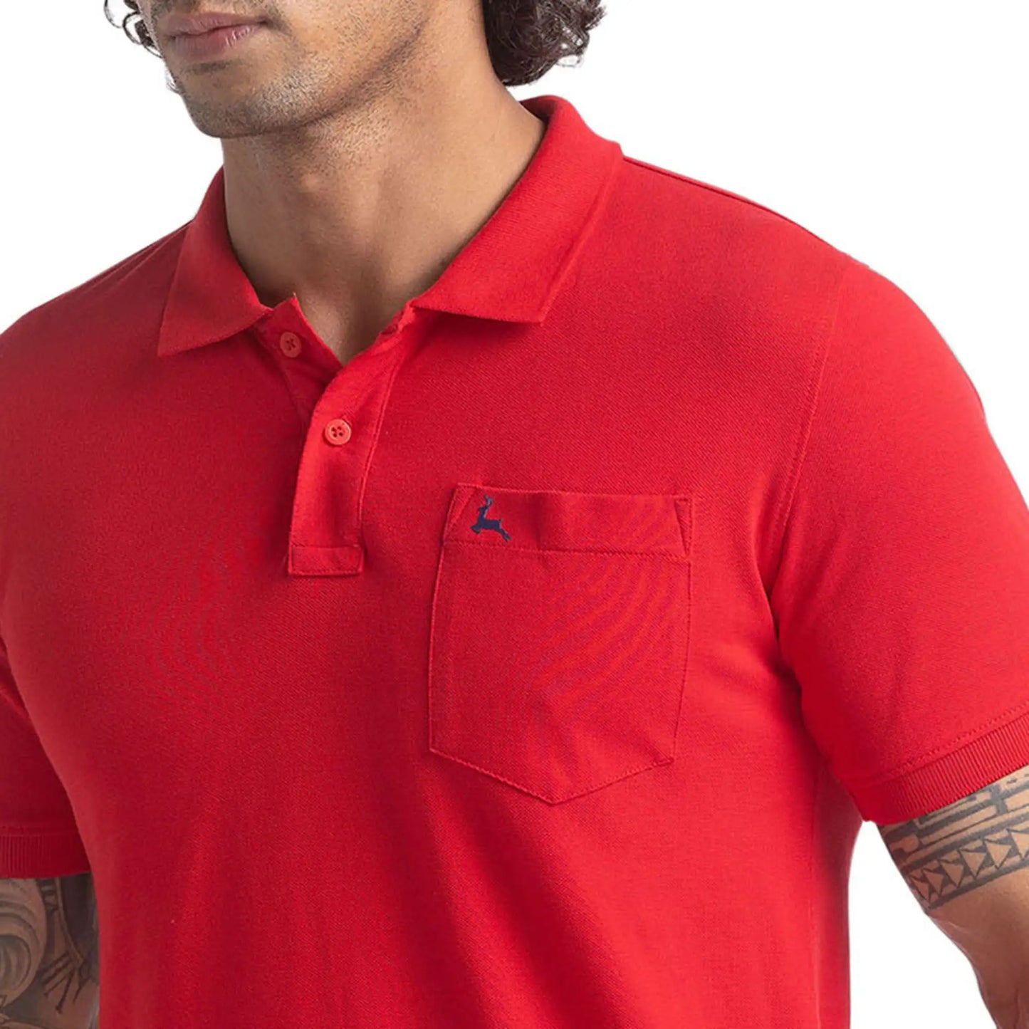 Men Regular Fit Green Polo