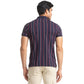 Men Regular Fit White Polo