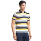 Men Regular Fit Blue Polo