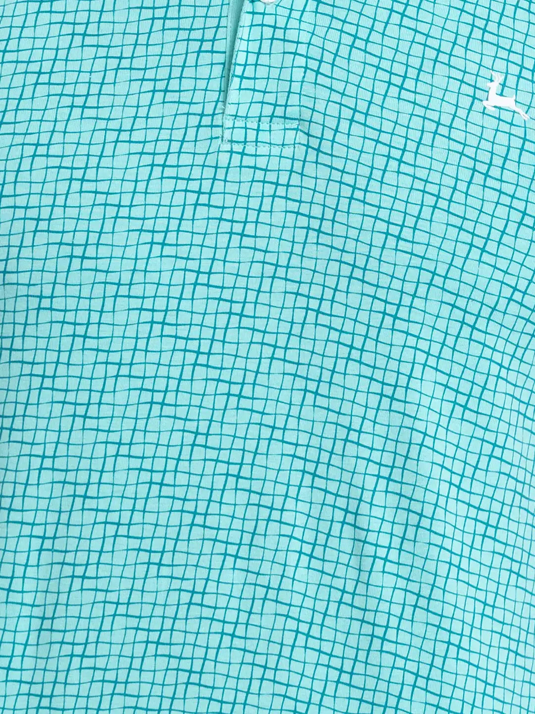 Men Regular Fit White T-Shirt