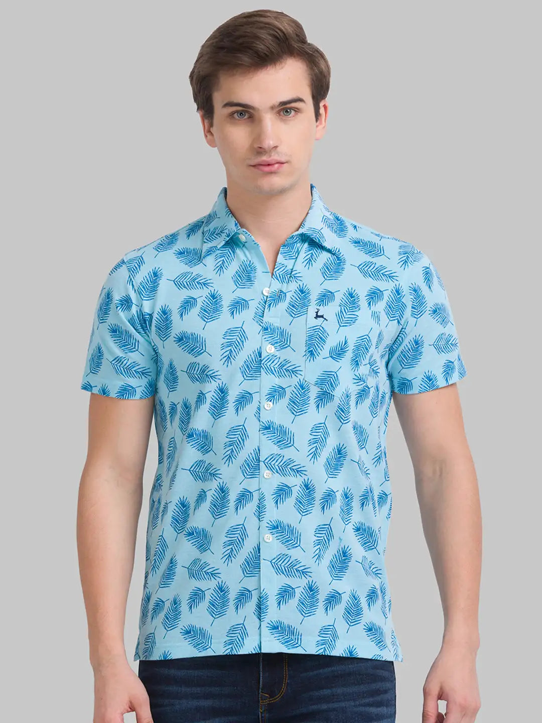 Men Regular Fit Light Green Polo