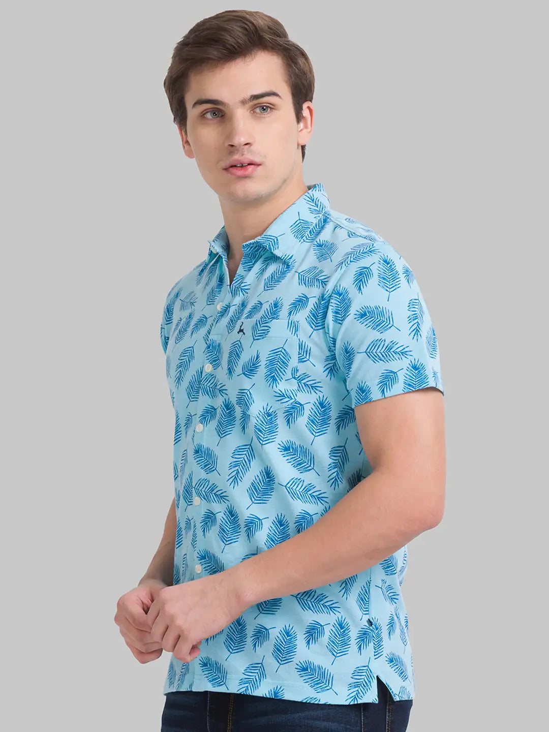 Men Regular Fit Light Green Polo